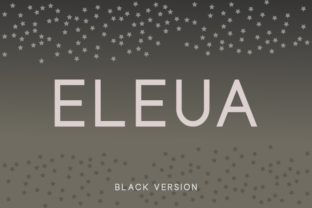 Eleua Black: A Clean Sans Serif for Modern Brand Identity
