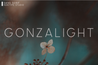 Gonzalight Typeface Review: Elevating Campaign Headlines