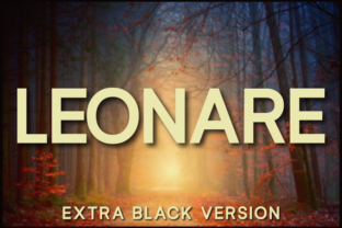Leonare Extra Black: The Typeface That Polished Our Brand Identity