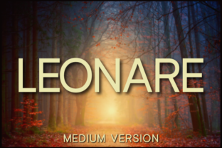 Leonare Medium: A Designer’s Honest Review