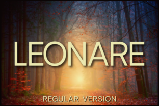 Leonare Regular: A Designer’s Take on Versatile Sans Serif Branding