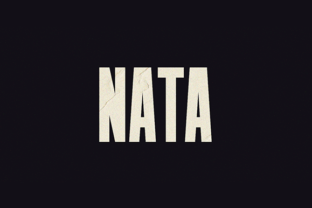 Nata: The Clean Sans Serif Font for Polished Brand Identity
