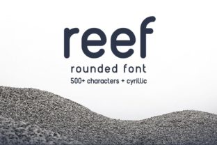 Reef Typeface Review: A Rounded Sans Serif for Modern Web Design